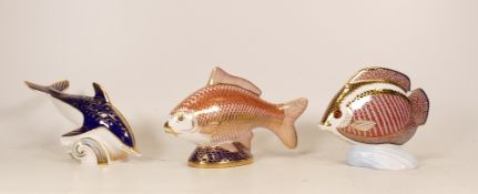 Royal Crown Derby paperweights to include gourami, dolphin and koi. All silver stoppers (3)