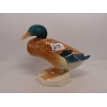 Beswick Mallard Duck squatting No 817