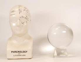 Reproduction Phrenology head together with large witches ball, height of tallest 30cm