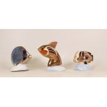 Royal Crown Derby paperweights to include chevroned butterfly fish, sweetlips, guppy. All silver