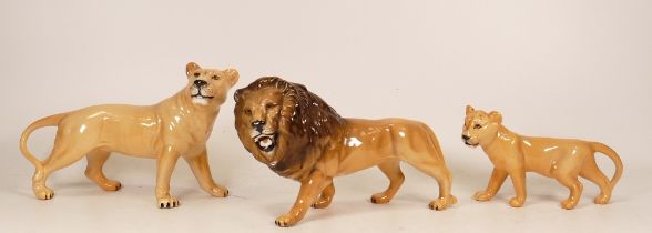 Beswick Lion Family to include Lion facing Left, Lioness and Cub. (3)