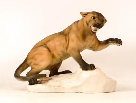 Beswick Matt Puma on Rock 1702