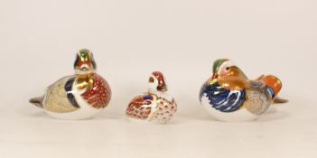 Royal Crown Derby paperweights Mallard Duck, Carolina Duck and Swimming Duck, gold stopper ()