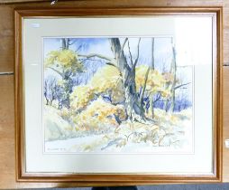 Doris BROWN (1933- 2023), 'Demonstration Dec 2000' Framed Watercolour on Paper of a Wooded