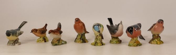 Beswick small bird figures to include Grey Wagtail 1041, 2x Wren 993, Robin 980, Bluetit,