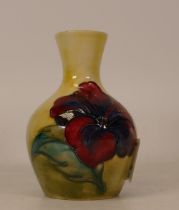 Moorcroft Hibiscus vase on faded yellow / green background. Height 8.5cm