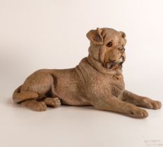 Large Austrian polychrome painted Terracotta pug dog. Early 20th century. Modelled in recumbent