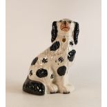 Mid-Victorian Staffordshire Disraeli Spaniel with Gilt Collar and Chain. Decoration with Curled Hair