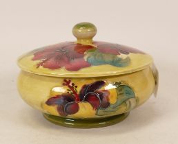Moorcroft Hibiscus lidded pot on faded yellow/green ground, height 10cm