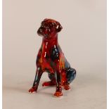 Anita Harris Model of a Boxer Dog, Gold Signed, height 12.5cm