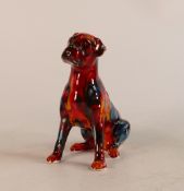 Anita Harris Model of a Boxer Dog, Gold Signed, height 12.5cm