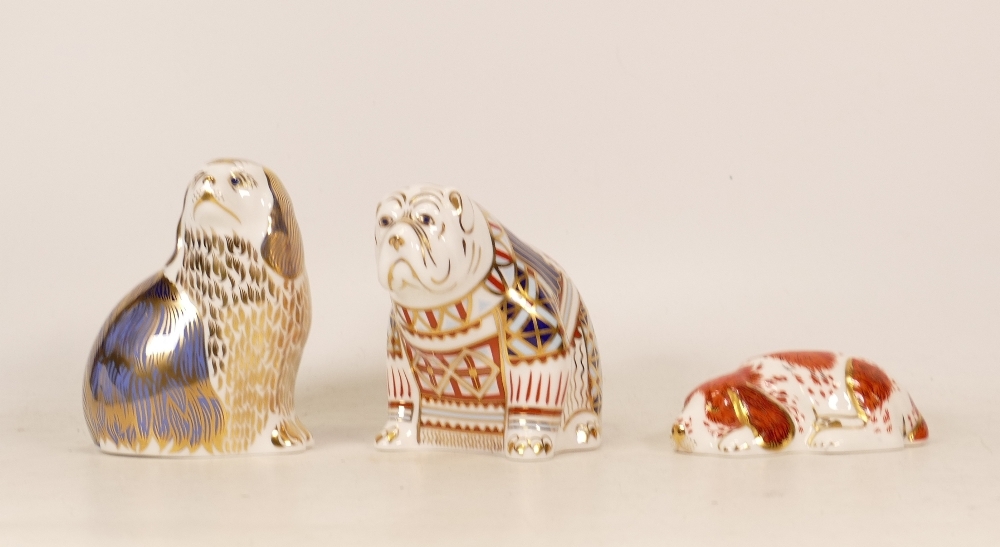 Royal Crown Derby paperweights Bulldog, Spaniel and Sleeping Puppy, gold stopper (3)