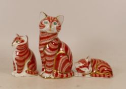 Royal Crown Derby Ginger Cat paperweight together with matching a Sitting Kitten and Sleeping