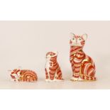 Royal Crown Derby paperweights Ginger Cat Family to include seated Tom cat (silver stopper),