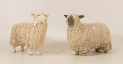 Beswick Cotswold sheep 4122 together with Wensleydale Sheep 4123 (2)