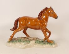 Beswick chestnut wild horse Mustang: 2007.Boxed with certificate