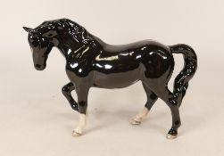 Beswick Stocky Jogging Mare 855 - black gloss BCC 2005 Special Edition. Boxed