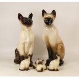 Beswick Siamese seated cat 2139, two smaller seated Siamese cats 1837, kittens and a similar
