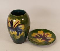 Moorcroft Hibiscus vase on faded green background together with Hibiscus pin dish. Height of vase