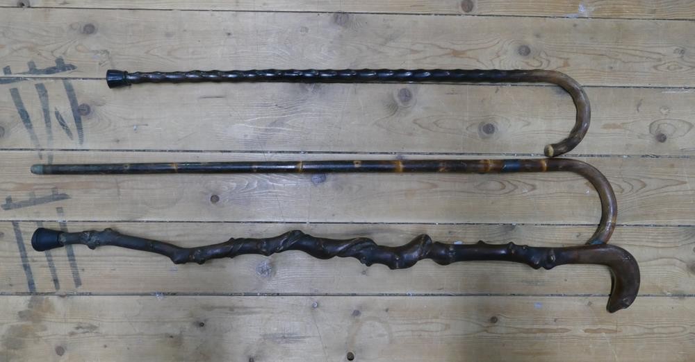 Three Victorian and later walking sticks to include gnarled example with glass eyed dogs head