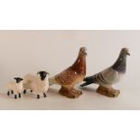 Two Beswick pigeons one grey, one brown (beak A/F) together with black faced ram and lamb (4)