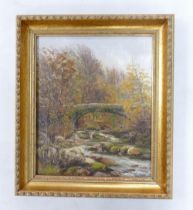 Late 19th Century Forest Scene depicting a Bridge and River beneath. Oil on Canvas in a Gilt