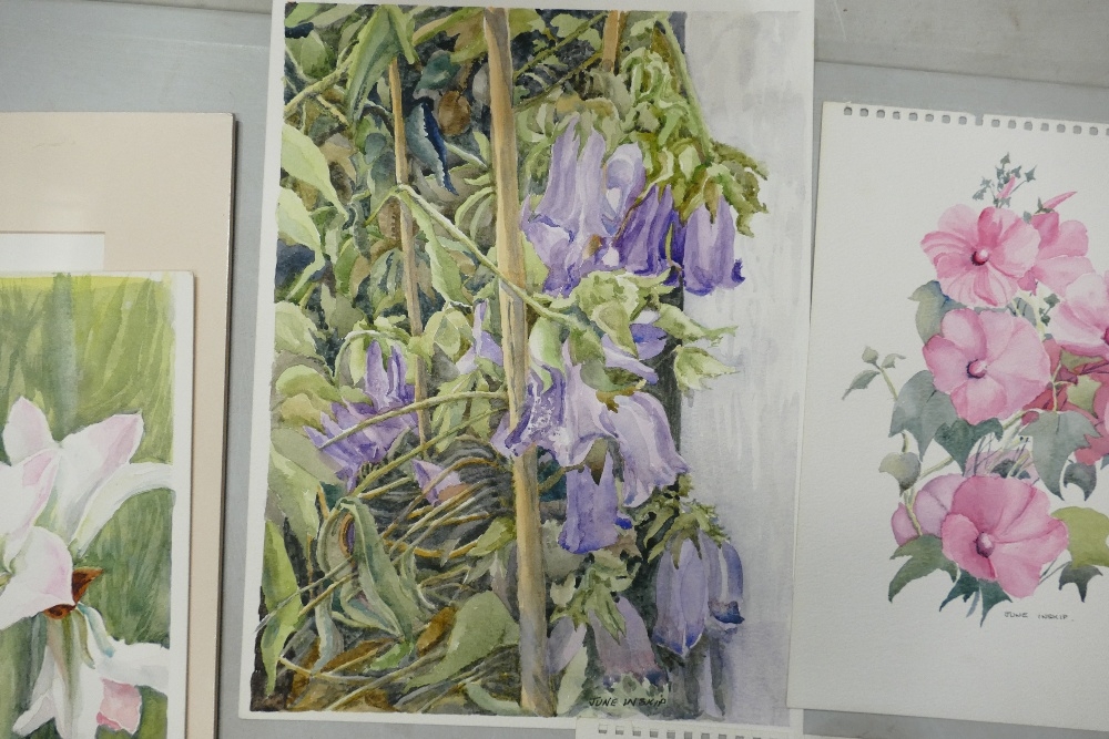 June Inskip (Local Artist). Six Floral Watercolours. Two mounted examples with four unmounted. - Image 3 of 4