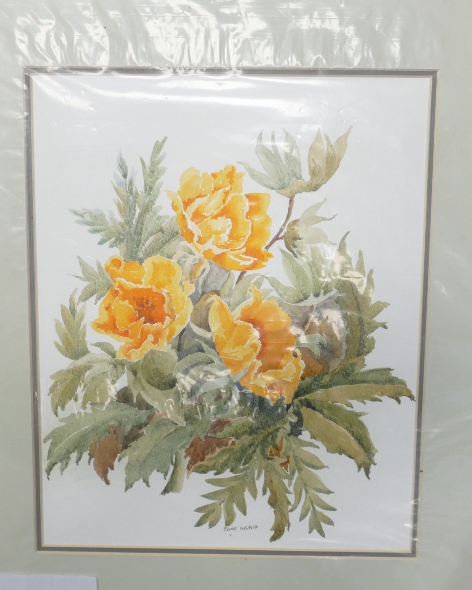 Three Floral Watercolours, Floral Basket Arrangement by Doris Brown S.W.A (1933-2023) together - Image 5 of 5