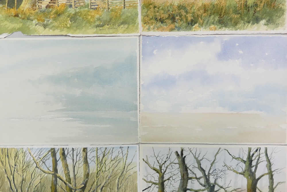 Doris Brown S.W.A (1933-2023) Six Watercolour Scenes to include Rural and Forest Themes including - Image 4 of 5