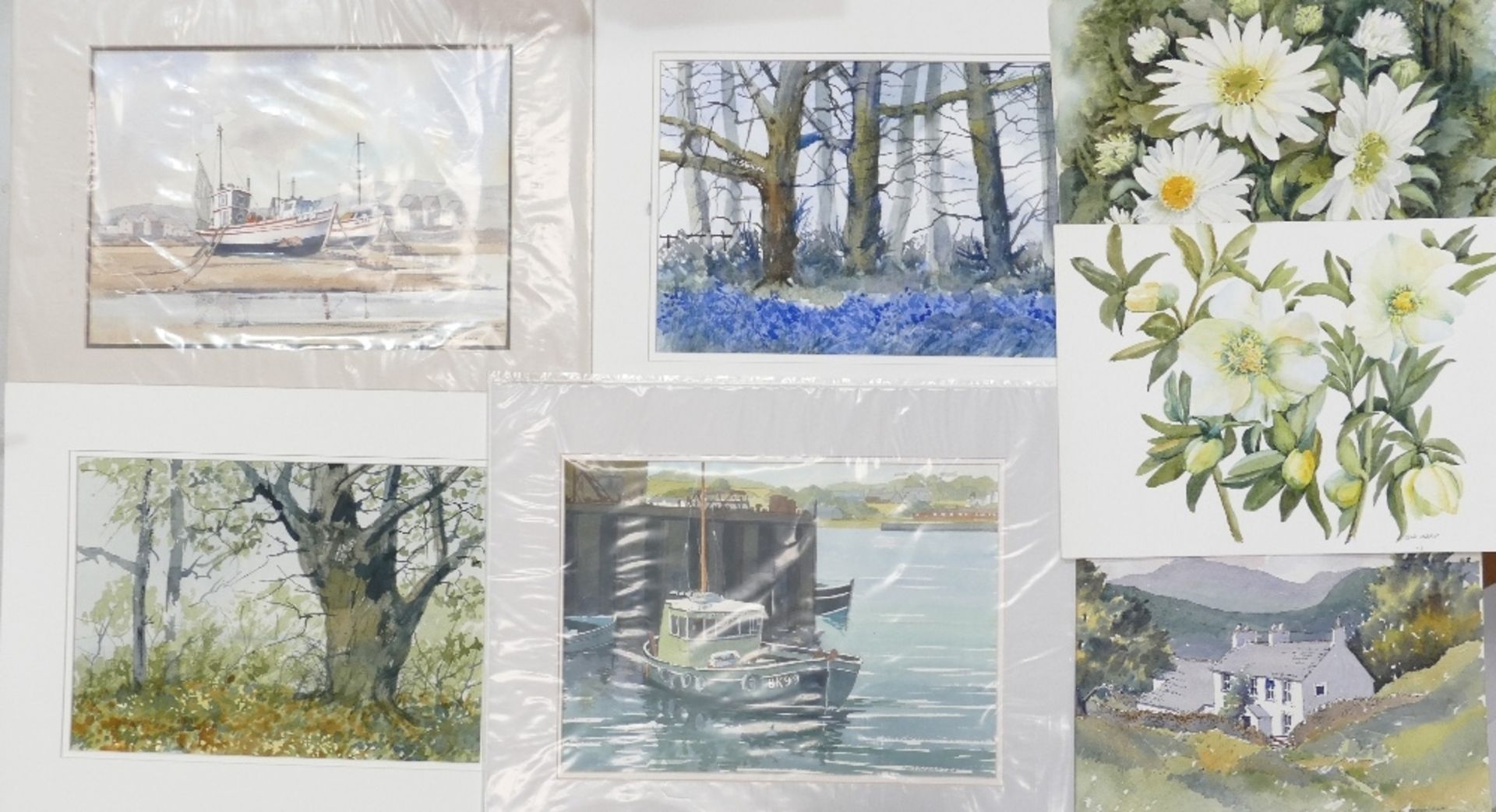 Doris Brown S.W.A (1933-2023) Five Forest and Harbour Scenes together with two June Inskip.