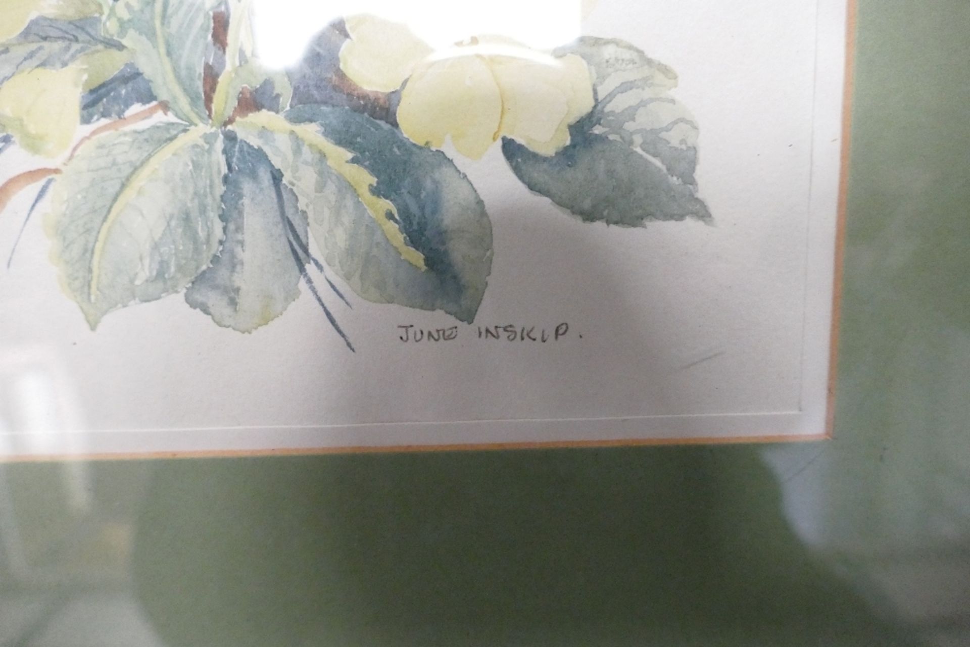 June INSKIP (Local Artist) Two Floral Watercolours, one Floral Vignette, framed behind glass - Image 3 of 3