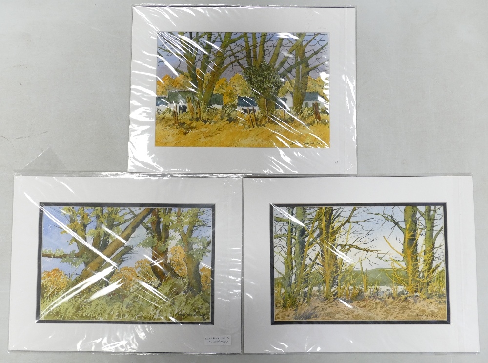 Doris Brown S.W.A (1933-2023) Three untitled Forest Scenes. Watercolour on paper, mounted. Signed