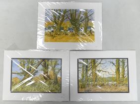 Doris Brown S.W.A (1933-2023) Three untitled Forest Scenes. Watercolour on paper, mounted. Signed