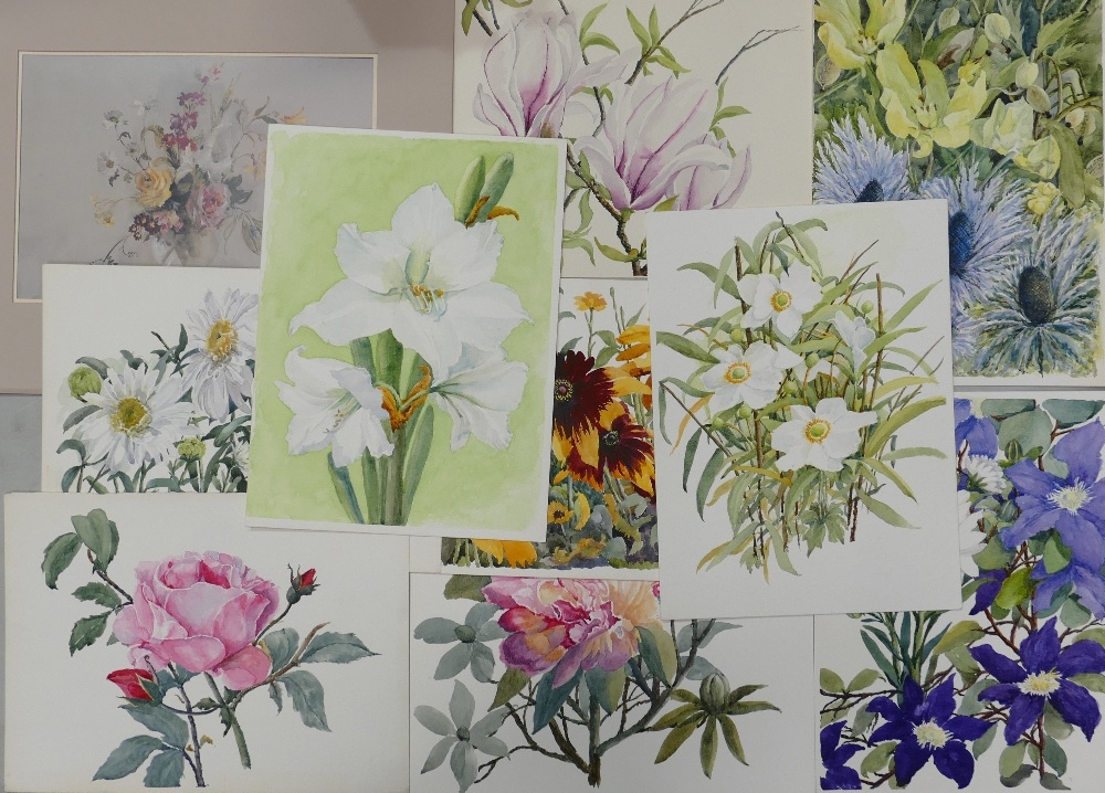 A Collection of Nine Unsigned Floral Watercolours from the Personal Collection of Doris Brown S.W.