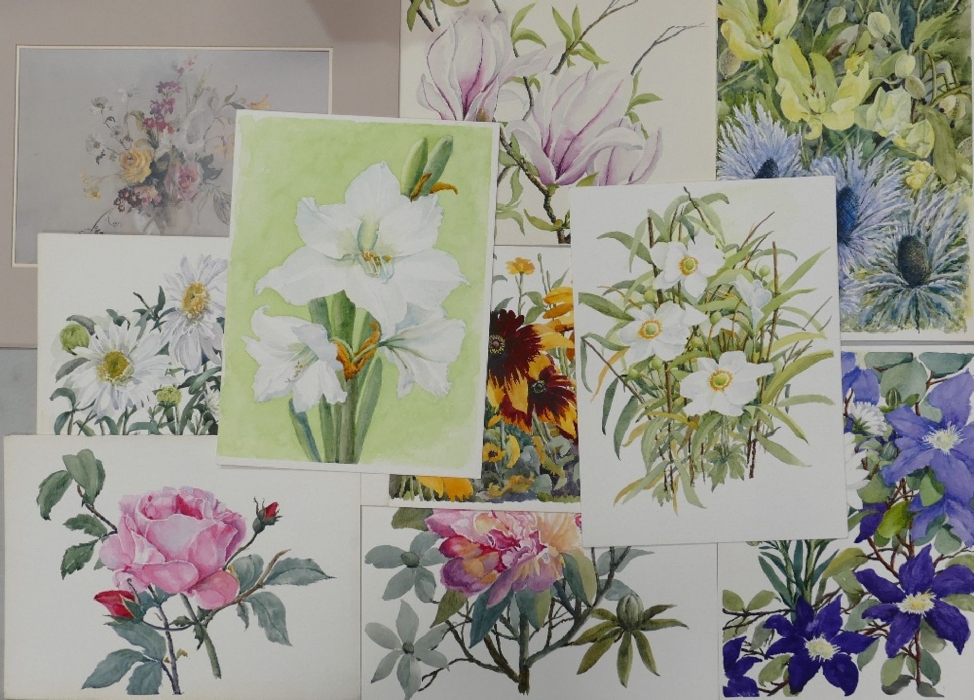 A Collection of Nine Unsigned Floral Watercolours from the Personal Collection of Doris Brown S.W.