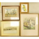 Doris Brown S.W.A (1933-2023). Four Framed Watercolours