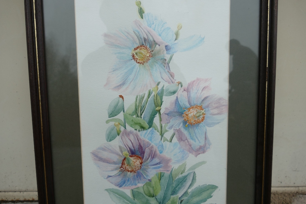 June Inskip (Local Artist). Naturalistic Floral Still Life . Watercolour on Paper, signed lower - Image 2 of 4