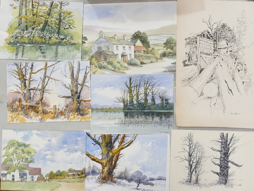 Doris Brown S.W.A (1933-2023) Nine Rural and Forest Scenes. Watercolour on paper, unmounted. - Image 2 of 2