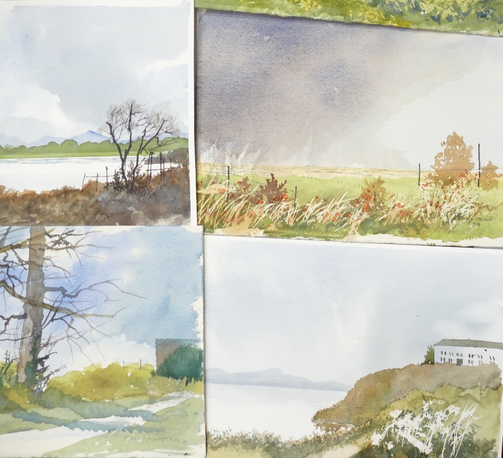 Doris Brown S.W.A (1933-2023) Eleven Landscapes and Rural Scenes. Watercolour on paper, unmounted. - Image 2 of 5