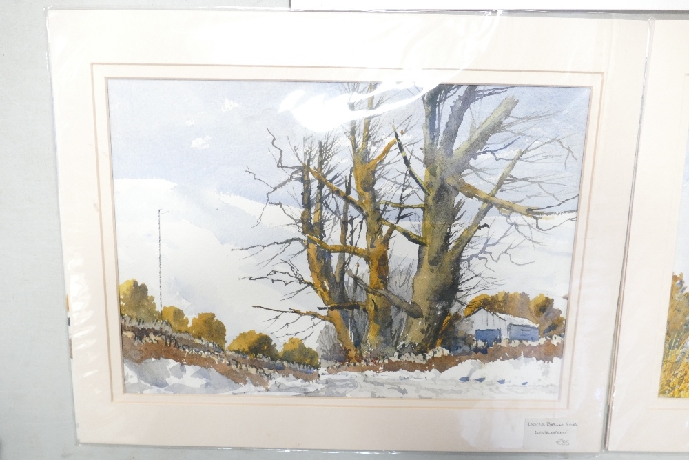 Doris Brown S.W.A (1933-2023) Three untitled Forest Scenes. Watercolour on paper, mounted. Signed - Image 5 of 5