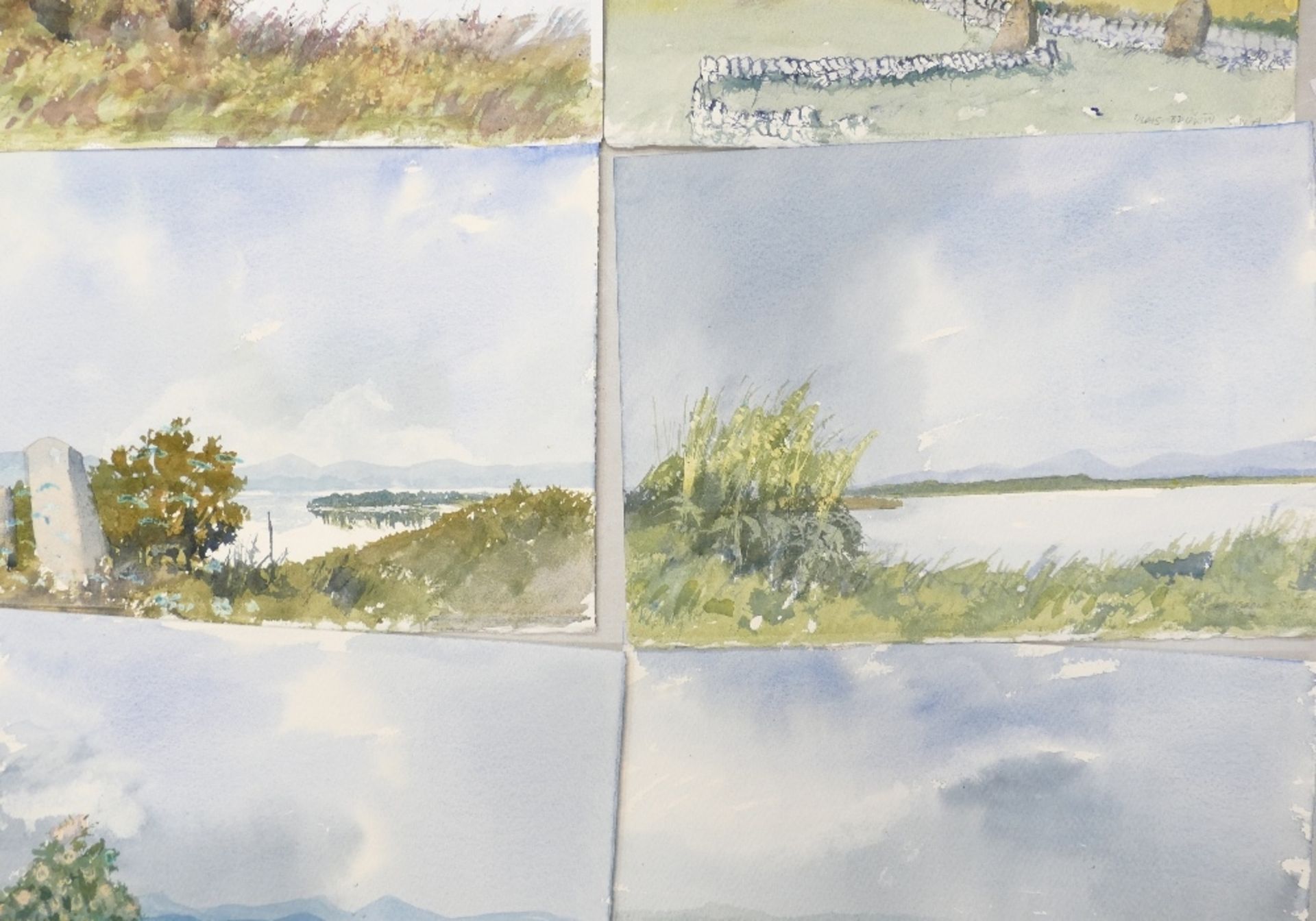 Doris Brown S.W.A (1933-2023) Six Rural and Lakeside Scenes. Watercolour on paper, unmounted. Signed - Image 4 of 5