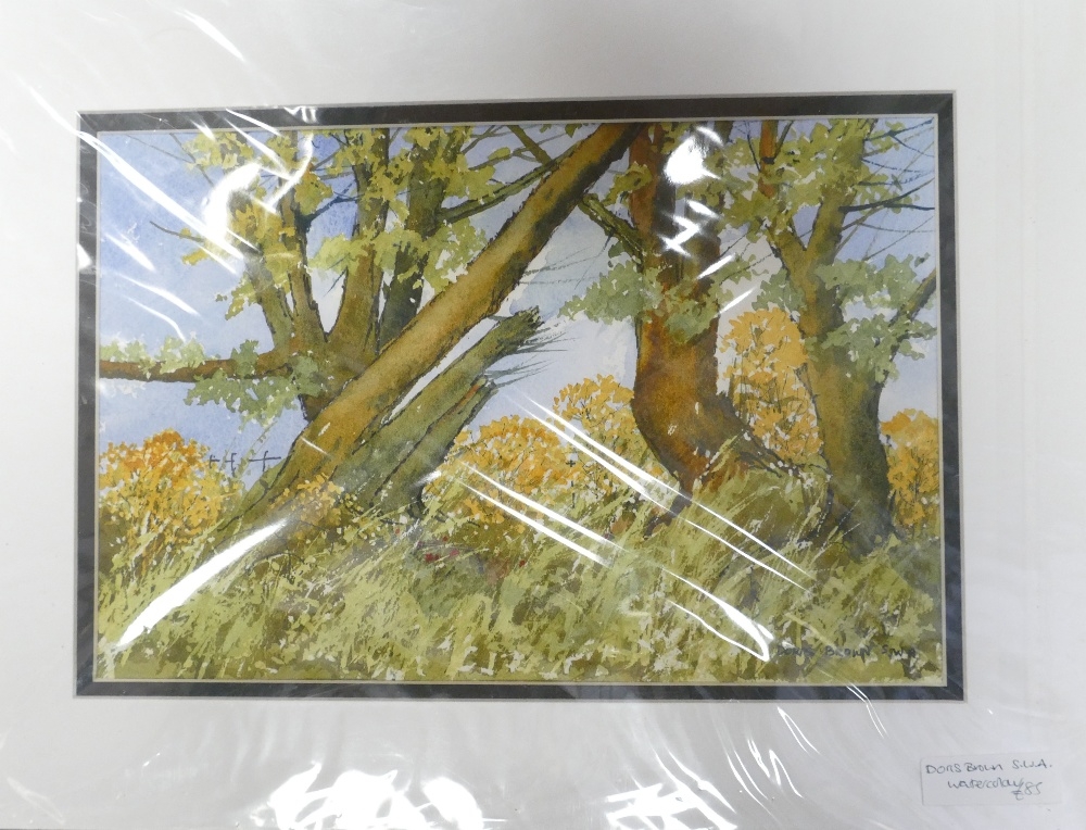 Doris Brown S.W.A (1933-2023) Three untitled Forest Scenes. Watercolour on paper, mounted. Signed - Image 4 of 5