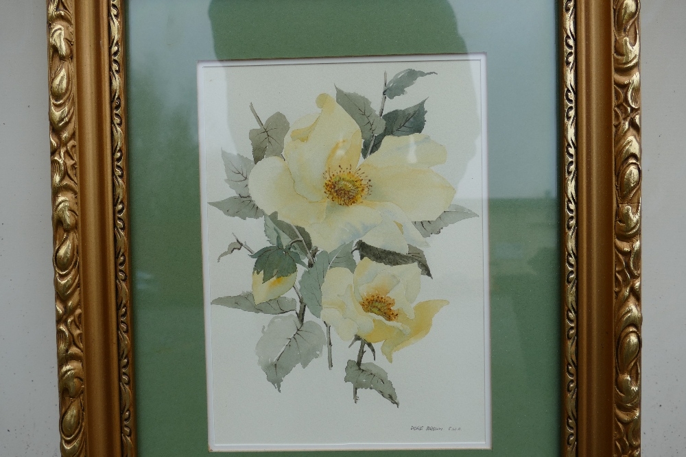 Doris Brown S.W.A (1933-2023) Floral Vignette, Watercolour on Paper, signed lower right 'Doris Brown - Image 5 of 8