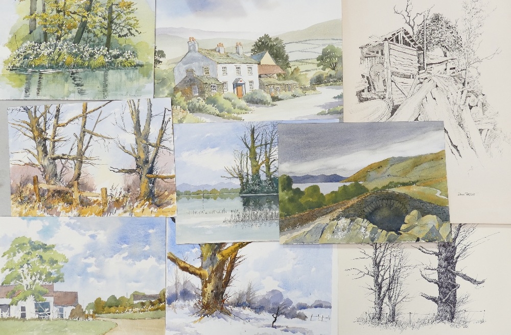 Doris Brown S.W.A (1933-2023) Nine Rural and Forest Scenes. Watercolour on paper, unmounted.