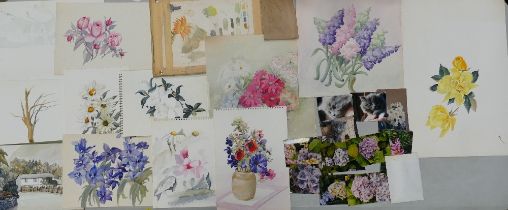 A Portfolio of Unsigned Floral Watercolours and Sketchbooks from the personal collection of Doris