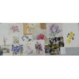 A Portfolio of Unsigned Floral Watercolours and Sketchbooks from the personal collection of Doris