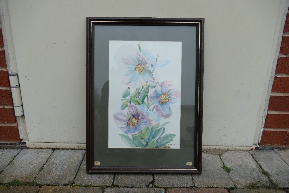 June Inskip (Local Artist). Naturalistic Floral Still Life . Watercolour on Paper, signed lower