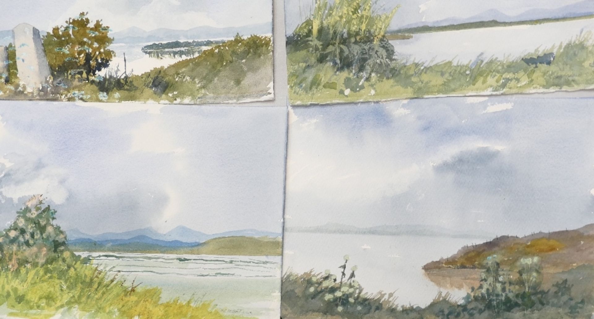 Doris Brown S.W.A (1933-2023) Six Rural and Lakeside Scenes. Watercolour on paper, unmounted. Signed - Image 3 of 5