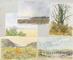 Doris Brown S.W.A (1933-2023) Five Landscapes and Forest Scenes. Watercolour on paper, unmounted.