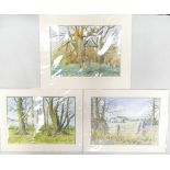 Doris Brown S.W.A (1933-2023) Three Untitled Forest Scenes. Watercolour on paper, mounted. Signed